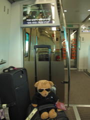 AREX Express