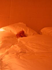 DSCN2139.JPG