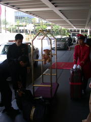 DSCN2226.JPG