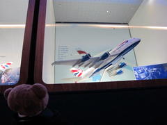 IMG_1590.JPG