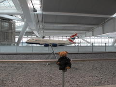 IMG_1595.JPG