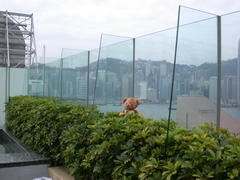 DSCN2264.JPG