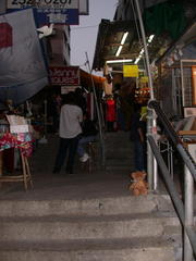 DSCN2297.JPG