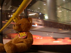 DSCN2315.JPG