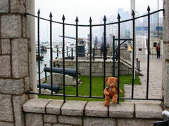 DSCN2338.JPG