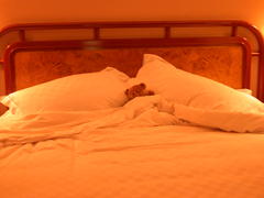 DSCN2417.JPG