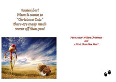 Willard the Bear Christmas Card 2010 (Back)