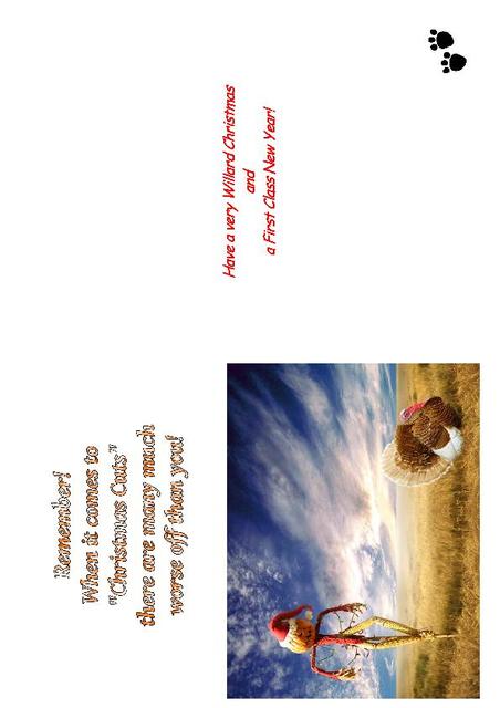 Willard the Bear Christmas Card 2010 (Back)