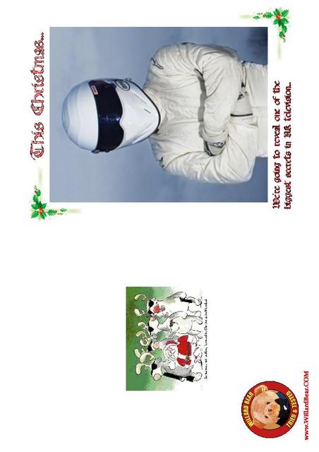 Willard the Bear Christmas Card 2009 (Front)